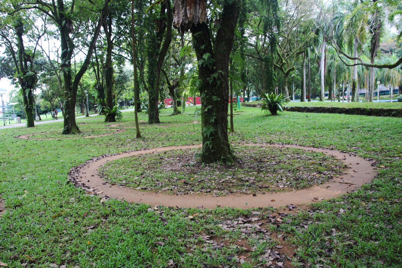 Park connector in Bishan-Ang Mo Kio Park